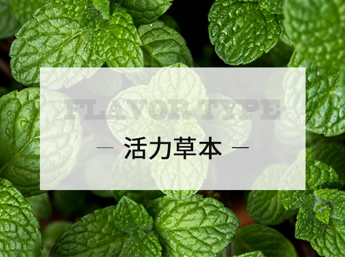 活力草本/Vigorous herb